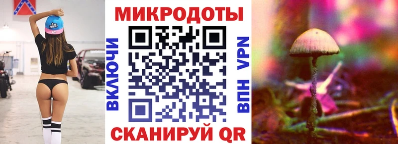 Псилоцибиновые грибы Psilocybine cubensis Торжок