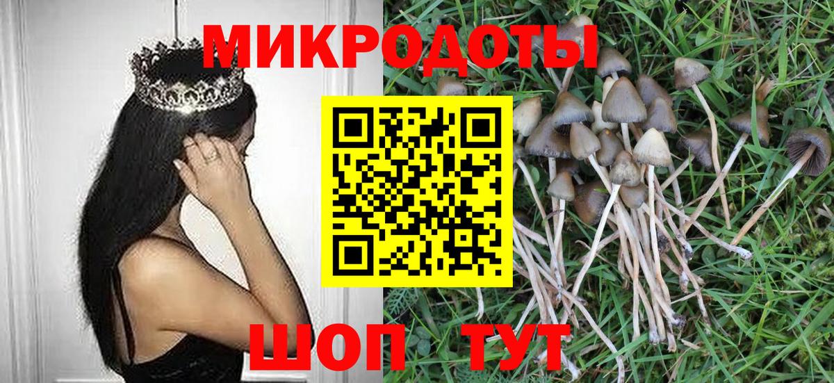 Торжок  Галлюциногенные грибы мухоморы  Вход с VPN 