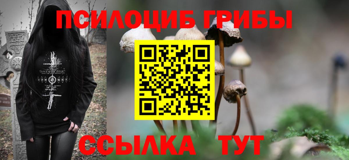 Псилоцибиновые грибы мухоморы Торжок